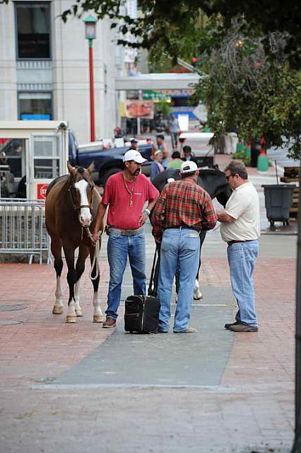 Outside-WIHS2-2010-WEG_0626-DDeRosaPhoto.JPG