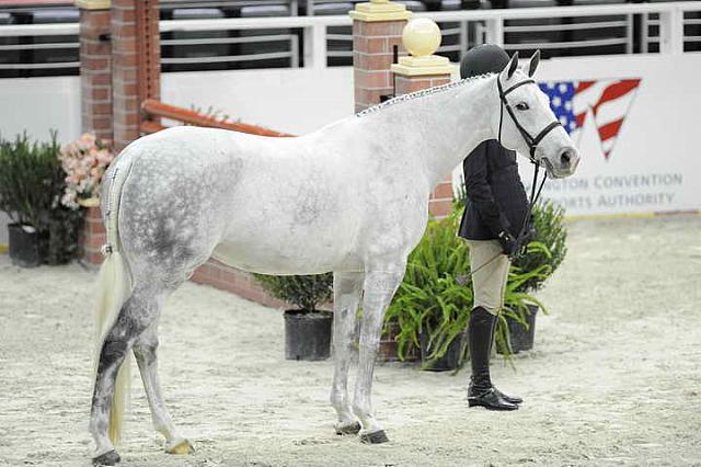 Presentations-WIHS-10-25-10-DSC_7644-DDeRosaPhoto.JPG