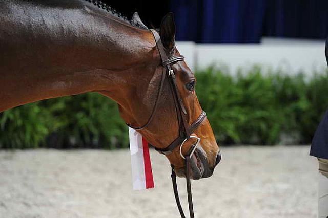 Presentations-WIHS-10-27-10-0740-DDeRosaPhoto.JPG