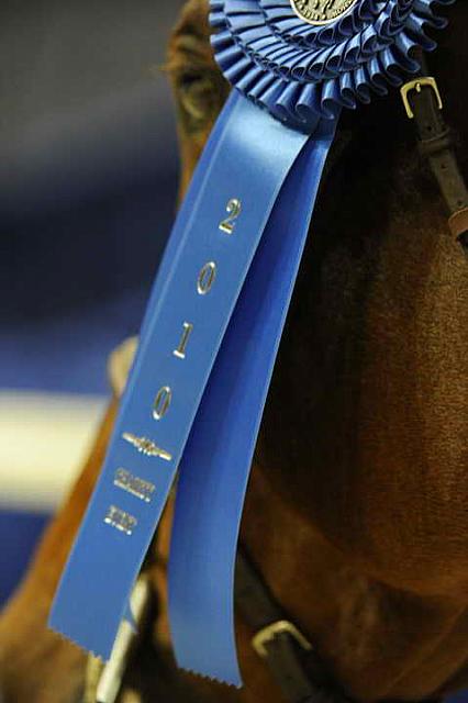 Presentations-WIHS1-10-26-10-Cl43-RgWkgHndyHtr-8666-Rosalynn-DDeRosaPhoto.JPG