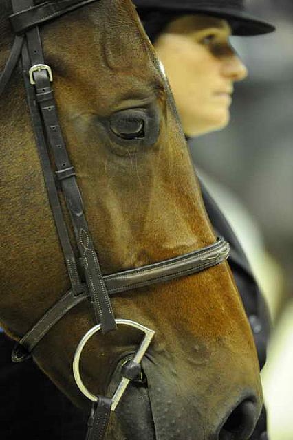 Presentations-WIHS1-10-26-10-Cl52-A-O-Htr35-U-8861-DoTell-BridgetHallman-DDeRosaPhoto.JPG