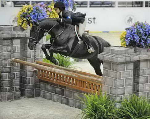 DanielleCooper-WIHS-10-22-09-DSC_5022-Amalfi-SmJrHtr16-17-Hunters-DDeRosaPhoto.JPG