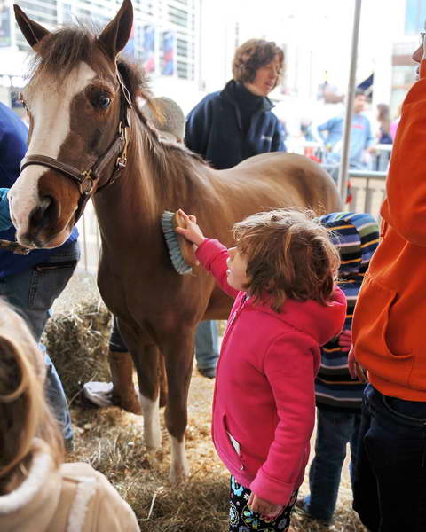 KidsDay-WIHS3-10-30-10-DSC_8215-KidsDay-DDeRosaPhoto.JPG