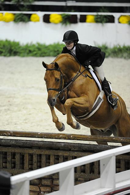 WIHS1-10-25-11-Cl62-AOHtrO35-DSC_7533-Sambalino-BeckyGochman-DDeRosaPhoto.JPG