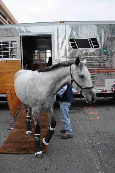 WIHS1-10-24-11-DSC_6006-DDeRosaPhoto.JPG