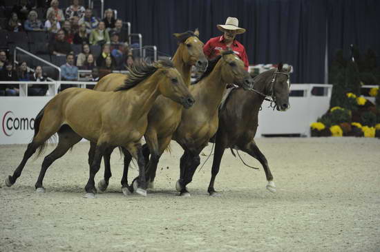 WIHS-4062-DDeRosaPhoto