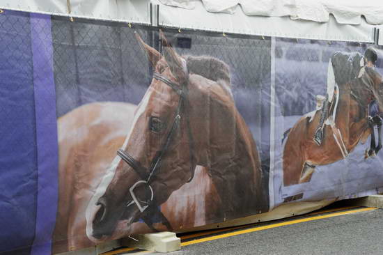 WIHS1-10-24-11-DSC 5908-DDeRosaPhoto