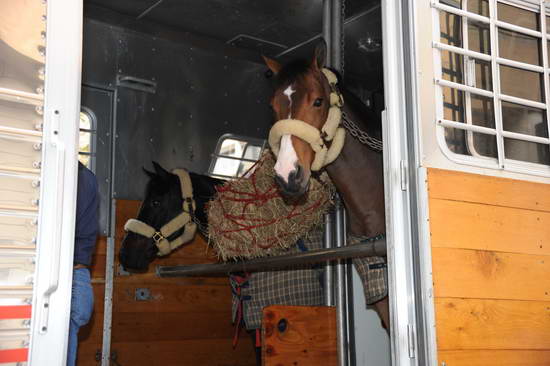 WIHS1-10-24-11-DSC 6053-DDeRosaPhoto