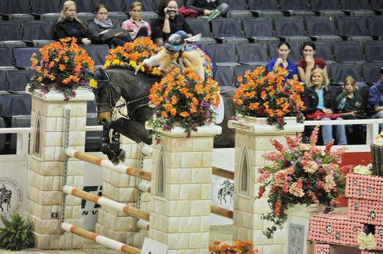 WIHS-10-27-11-Cl211-Gambler-5686-WoodstockO-LauraKraut-DDeRosaPhoto.JPG