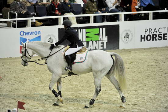 WIHS5-10-29-11-PresCup-1718-Indigo-MargieEngle-DDeRosaPhoto