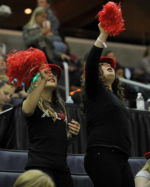 WIHS-10-27-11-BarnNight-2861-DDeRosaPhoto.JPG