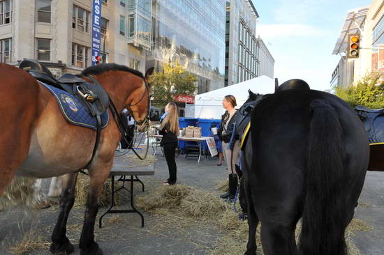 WIHS2-10-26-11-Breakfast-Police-0748-DDeRosaPhoto.JPG