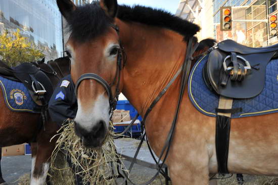 WIHS2-10-26-11-Breakfast-Police-0751-DDeRosaPhoto.JPG