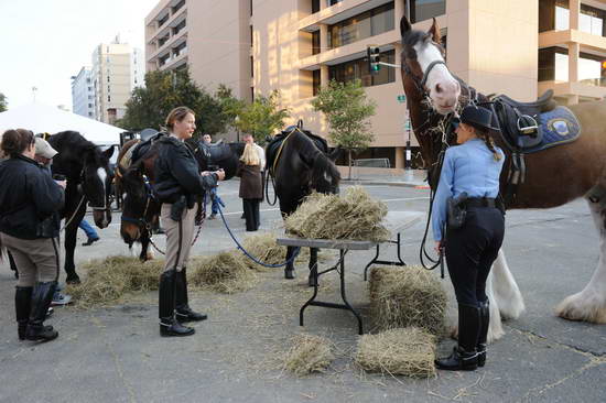 WIHS2-10-26-11-Breakfast-Police-8936-DDeRosaPhoto.JPG