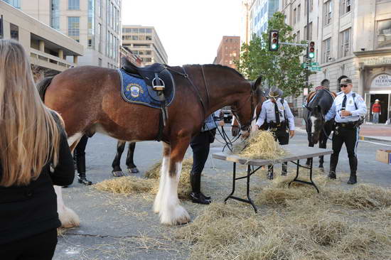 WIHS2-10-26-11-Breakfast-Police-9078-DDeRosaPhoto.JPG