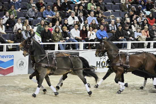 WIHS4-10-28-11-ChesterWeber-1017-DDeRosaPhoto.JPG