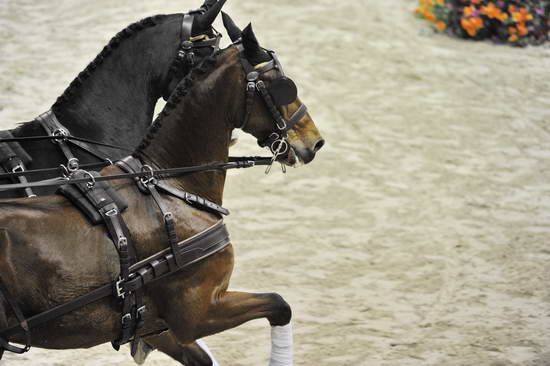 WIHS4-10-28-11-ChesterWeber-1021-DDeRosaPhoto.JPG