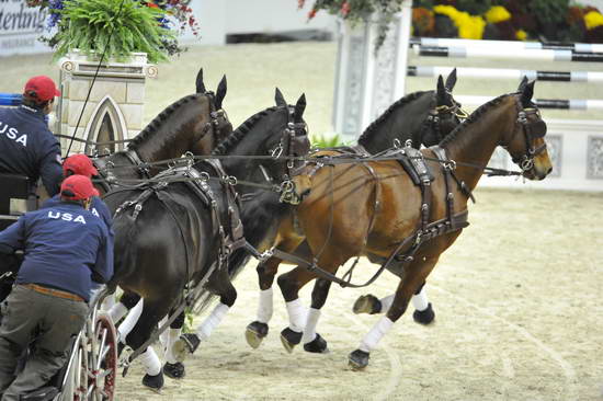 WIHS4-10-28-11-ChesterWeber-1025-DDeRosaPhoto.JPG