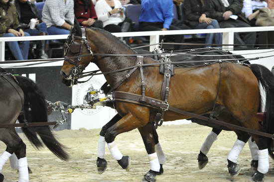 WIHS4-10-28-11-ChesterWeber-1037-DDeRosaPhoto.JPG