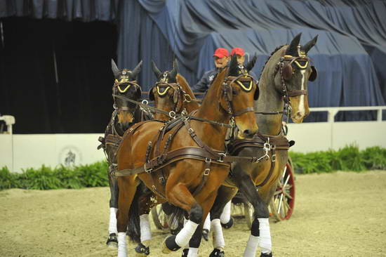 WIHS4-10-28-11-ChesterWeber-4229-DDeRosaPhoto.JPG