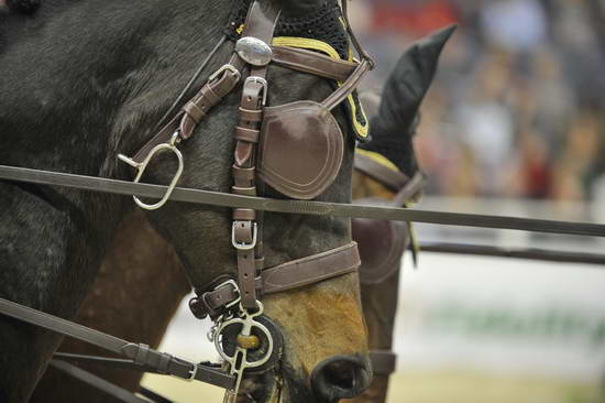 WIHS4-10-28-11-ChesterWeber-4240-DDeRosaPhoto.JPG