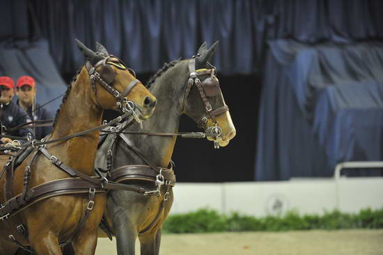 WIHS4-10-28-11-ChesterWeber-4254-DDeRosaPhoto.JPG