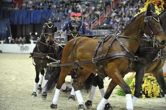 WIHS4-10-28-11-ChesterWeber-4278-DDeRosaPhoto.JPG