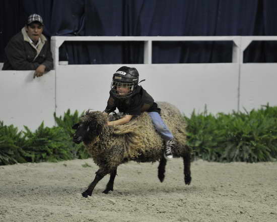 WIHS3-10-27-11-MuttonBusting-2538-DDeRosaPhoto.JPG