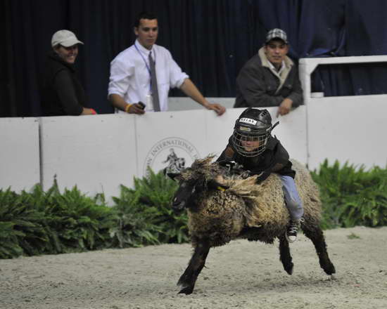 WIHS3-10-27-11-MuttonBusting-2539-DDeRosaPhoto.JPG