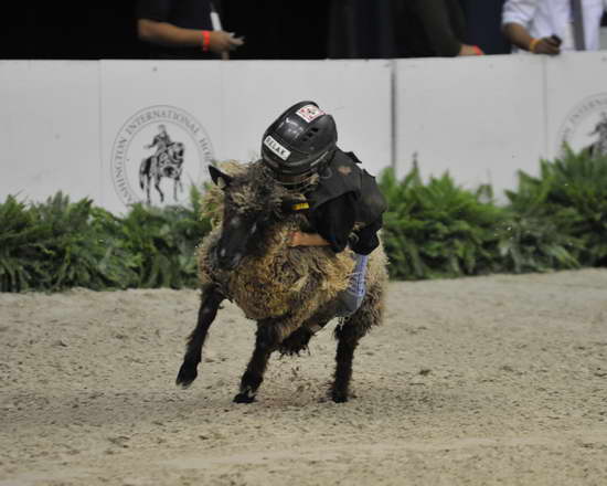 WIHS3-10-27-11-MuttonBusting-2540-DDeRosaPhoto.JPG