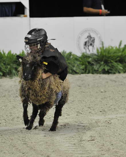 WIHS3-10-27-11-MuttonBusting-2541-DDeRosaPhoto.JPG