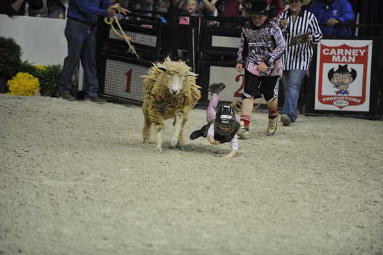 WIHS3-10-27-11-MuttonBusting-2782-DDeRosaPhoto.JPG