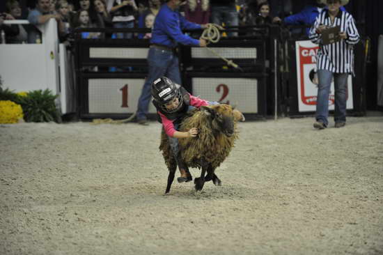 WIHS3-10-27-11-MuttonBusting-2790-DDeRosaPhoto.JPG