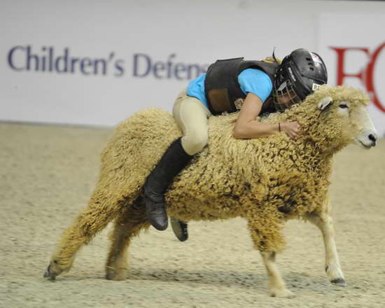 WIHS3-10-27-11-MuttonBusting-2656-DDeRosaPhoto.JPG