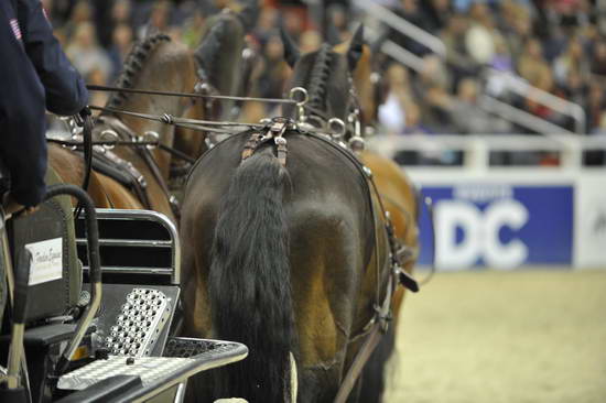 WIHS4-10-28-11-ChesterWeber-4242-DDeRosaPhoto.JPG