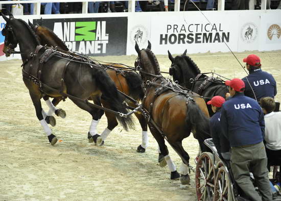 WIHS4-10-28-11-ChesterWeber-1051-DDeRosaPhoto.JPG