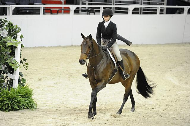 WIHS-10-25-11-Cl186ChHtrCH-DSC_7791-Prestige-AnnieFriedman-DDeRosaPhoto.JPG