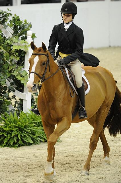 WIHS-10-25-11-Cl186ChHtrCH-DSC_7910-DoubleDown-ElizabethAdelson-DDeRosaPhoto.JPG