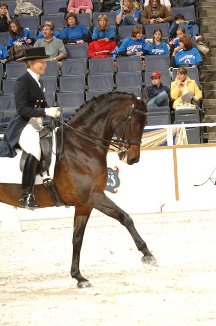 22-WIHS-CathyMorelli-BeSe-Dressage-10-27-05-DDPhoto.JPG