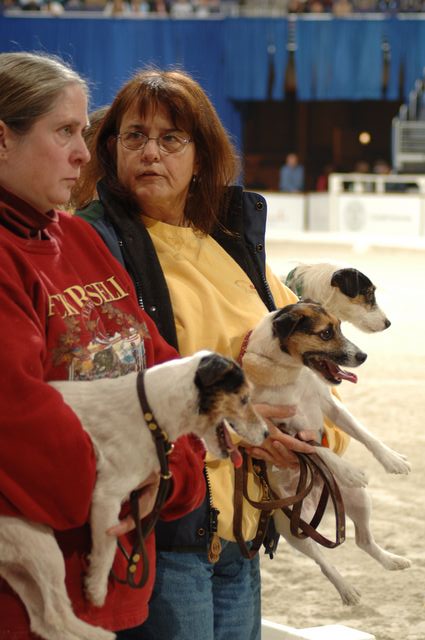 10-WIHS-10-28-05-Terriers-DDPhoto.JPG