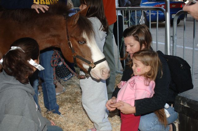 022-WIHS-PonyPavilion-10-29-05-DDPhoto.JPG