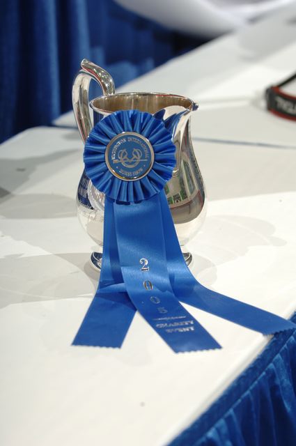 02-WIHS-Trophies-Awards-10-29-05-DDPhoto_001.JPG