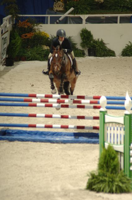 095-WIHS-JulieWelles-10-29-05-EqClassicFinal-183-DDPhoto.JPG