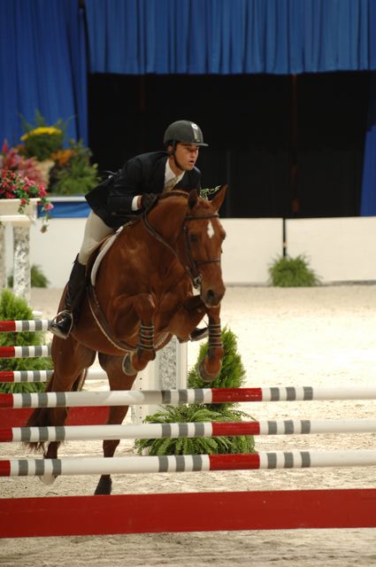 142-WIHS-JulieWelles-Lando-10-29-05-EqClassicJpr-182-DDPhoto.JPG