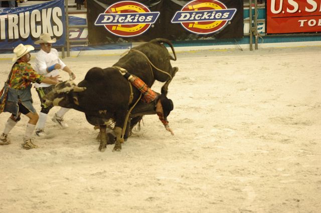 117-WIHS-10-23-06-BullRiding-DDPhoto.JPG
