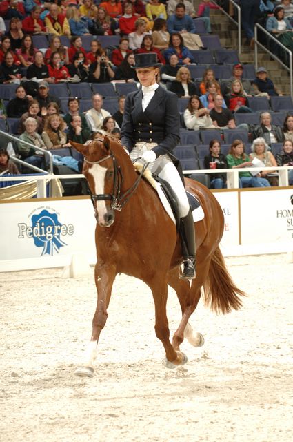 34-WIHS-HeatherBlitz-Arabella-Dressage-DDPhoto.JPG