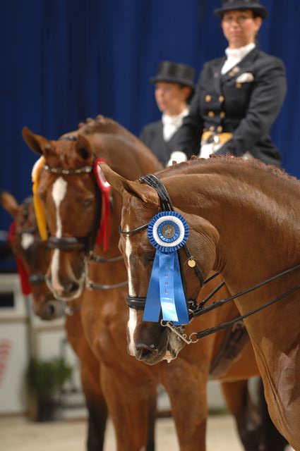 838-WIHS-10-27-06-&copy;DeRosaPhoto.JPG