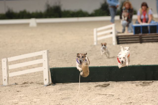 730-WIHS-10-27-06-&copy;DeRosaPhoto.JPG