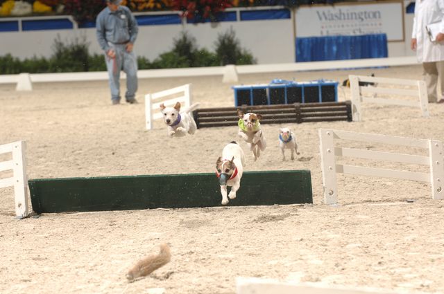 732-WIHS-10-27-06-&copy;DeRosaPhoto.JPG