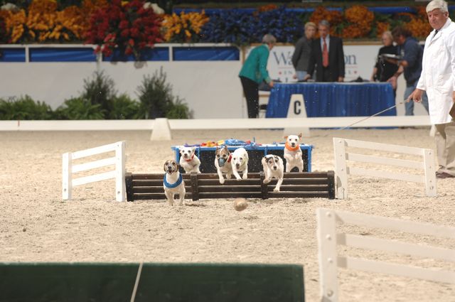 734-WIHS-10-27-06-&copy;DeRosaPhoto.JPG